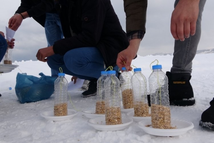Bitlis'te dondurucu soğuklarda yaşamaya &ccedil;alışan kuşlar i&ccedil;in yemlik