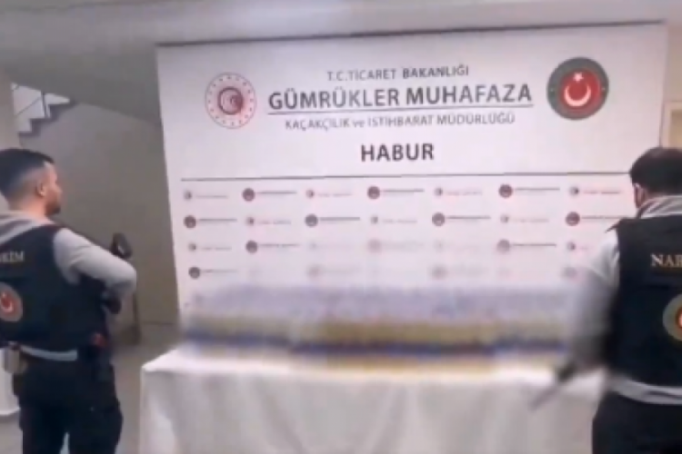 Habur G&uuml;mr&uuml;k Kapısı'nda sıvı metamfetamin ele ge&ccedil;irildi