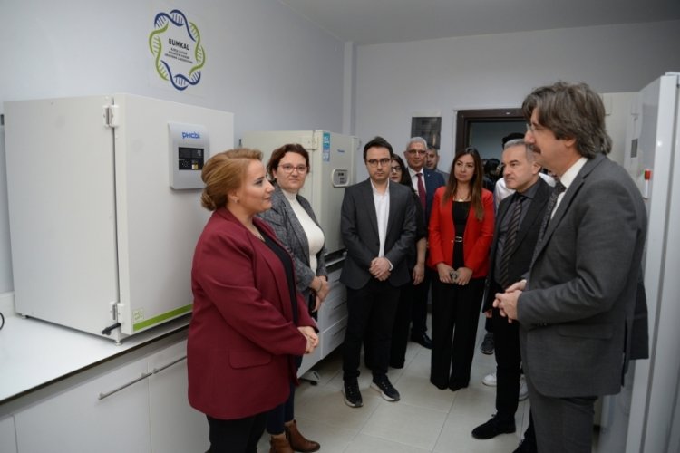 BU&Uuml;'l&uuml; akademisyenlerden akciğer kanserine y&ouml;nelik proje