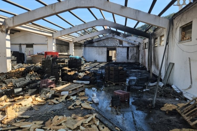 İstanbul'da arkasında ormanlık alan bulunan depodaki yangın b&uuml;y&uuml;meden s&ouml;nd&uuml;r&uuml;ld&uuml;
