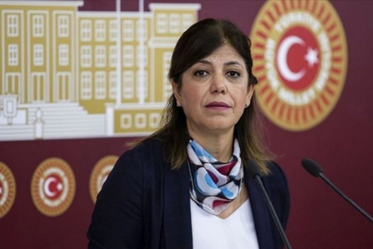 Meral Danış Beştaş kimdir? DEM Parti Meral Danış Beştaş nereli? Meral Danış Beştaş ka&ccedil; yaşında?
