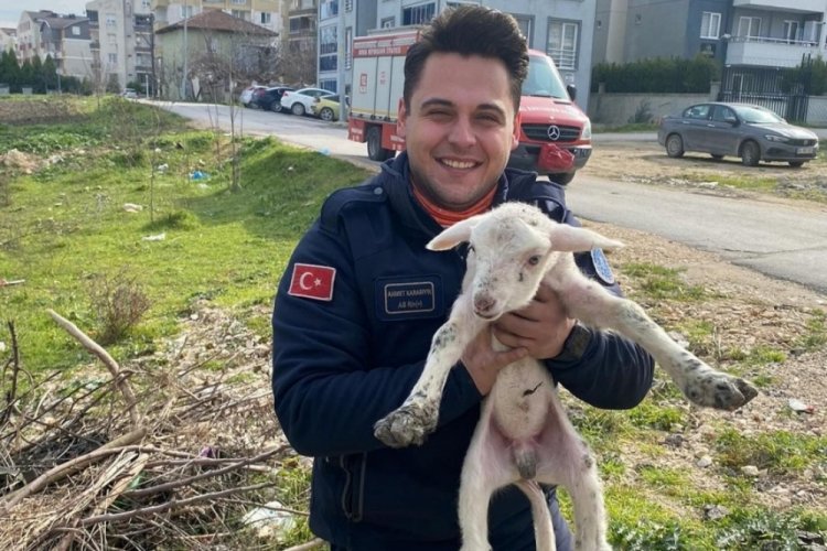 Bursa'da kuyuya d&uuml;şen kuzuyu itfaiye kurtardı