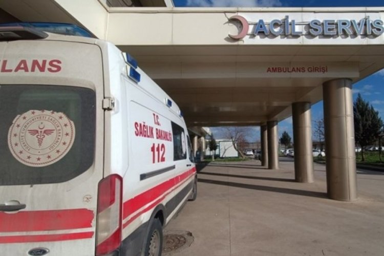 Diyarbakır'da başıboş k&ouml;pekler &ccedil;ocuğa saldırdı