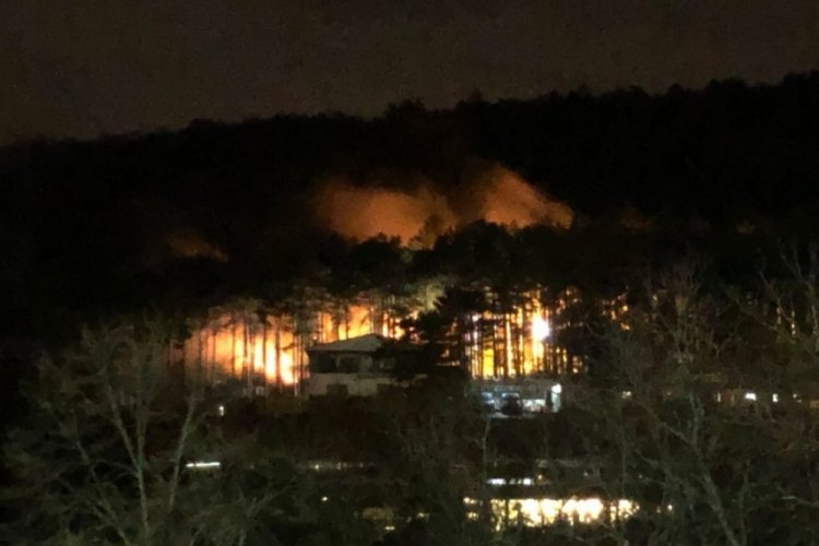 Bursa'da Uludağ eteklerinde çıkan orman yangını söndürüldü