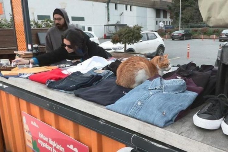 İstanbul'da 'eski sevgili pazarı' kuruldu