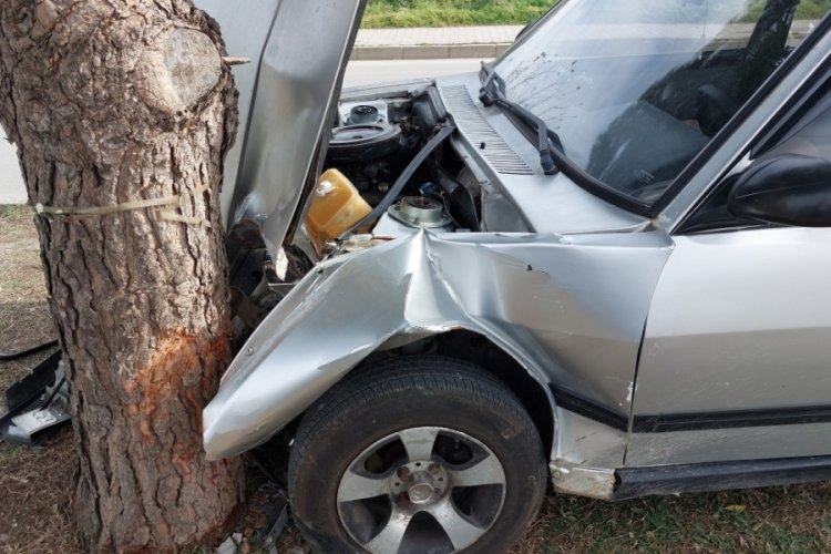 Samsun'da ağaca &ccedil;arpan ara&ccedil; hurdaya d&ouml;nd&uuml;!