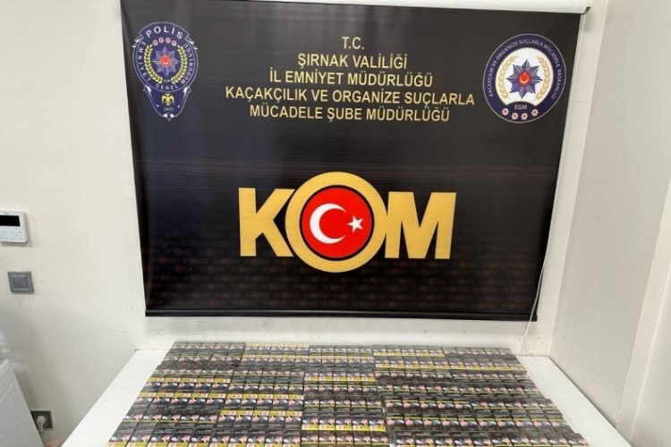 Şırnak'ta ka&ccedil;ak&ccedil;ılık ve asayiş operasyonu: 49 g&ouml;zaltı