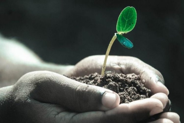 2024 yılının ilk cemresi d&uuml;şt&uuml; m&uuml;? İlk cemre ne zaman d&uuml;şecek? Cemre d&uuml;şmesi ne demek?