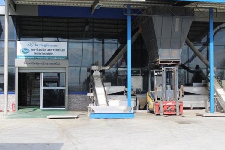 Zeytinyağı sıkım sezonu erken bitti