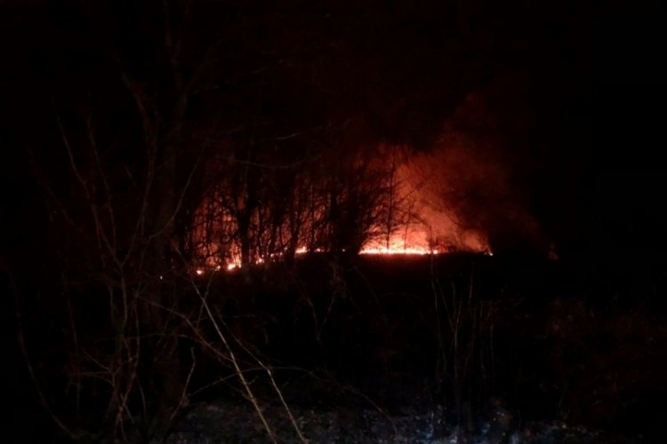 Zonguldak'ta ormanlık alanda &ccedil;ıkan &ouml;rt&uuml; yangını, kontrol altına alındı