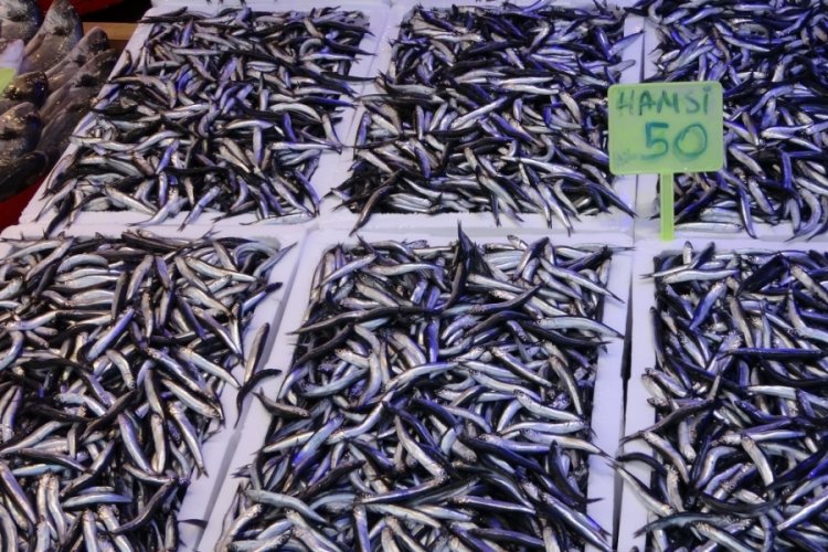 Hamsi bereketi ihracat rakamlarına da yansıdı