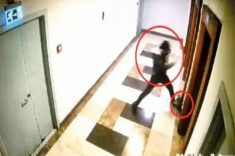 Asans&ouml;re binen kediyi &ouml;ld&uuml;ren şahsa sosyal medyada tepki yağdı!