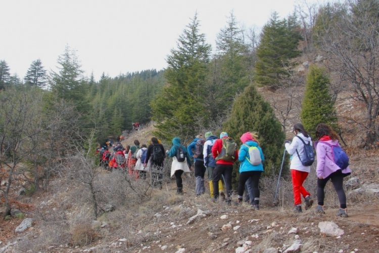 Kar şenliğinde dağda kar bulamadılar