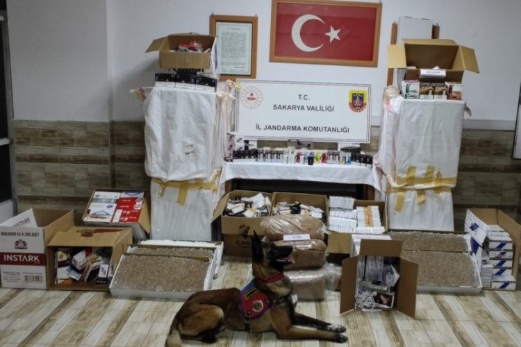 Sakarya'da makaron ve ka&ccedil;ak t&uuml;t&uuml;n ele ge&ccedil;irildi