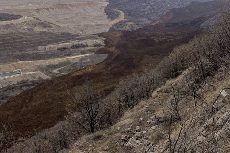 &Ccedil;MO Bursa Şube Başkanı Şen: Heyelan ekolojiyi tamamen bitirdi