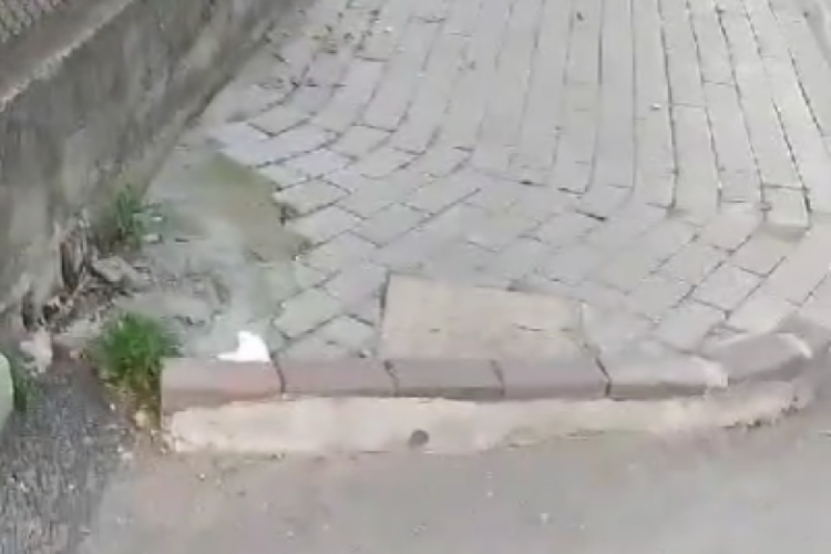 Bursa'da engelli yaya yoluna engel!