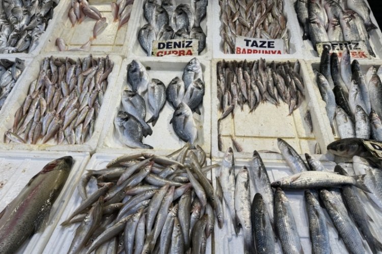 Balık sofraya ulaşıncaya kadar fiyatı y&uuml;zde 200 artıyor