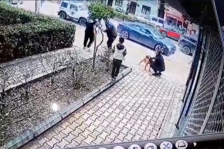 Antalya'da &ccedil;aldığı k&ouml;peğin sahibine ve polise bı&ccedil;ak &ccedil;ekti, g&ouml;zaltına alındı