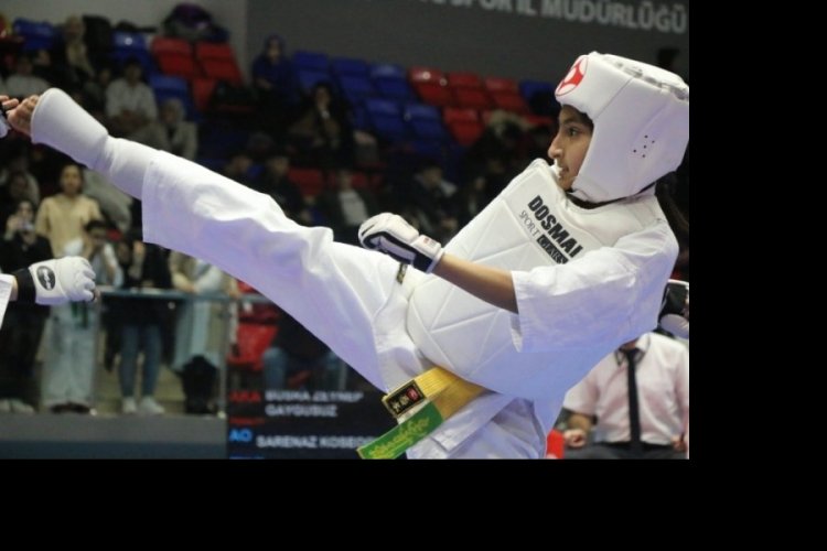 T&uuml;rkiye Kyokushin Stil Karate Şampiyonası Karab&uuml;k'te başladı