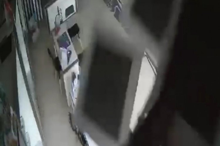 Bursa'da kırılan tavandan aşağı kedi d&uuml;şt&uuml;!