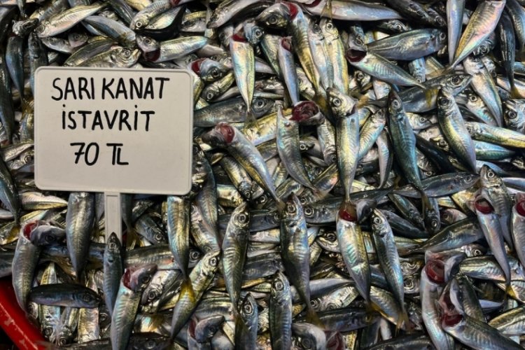 Tezgahlarda balık &ccedil;eşidi azaldı
