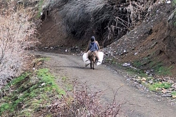 Elazığ'da selde &ccedil;&ouml;ken yolu kullanamayan k&ouml;yl&uuml;ler hayvanlarına eşekler ile yem taşıyor