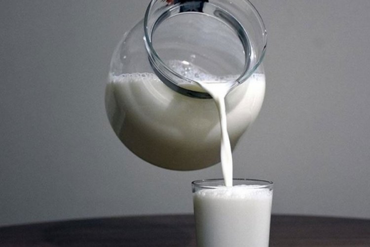 Pazaryeri Kooperatifi BEBKA desteğiyle g&uuml;nl&uuml;k 8 ton s&uuml;t topluyor