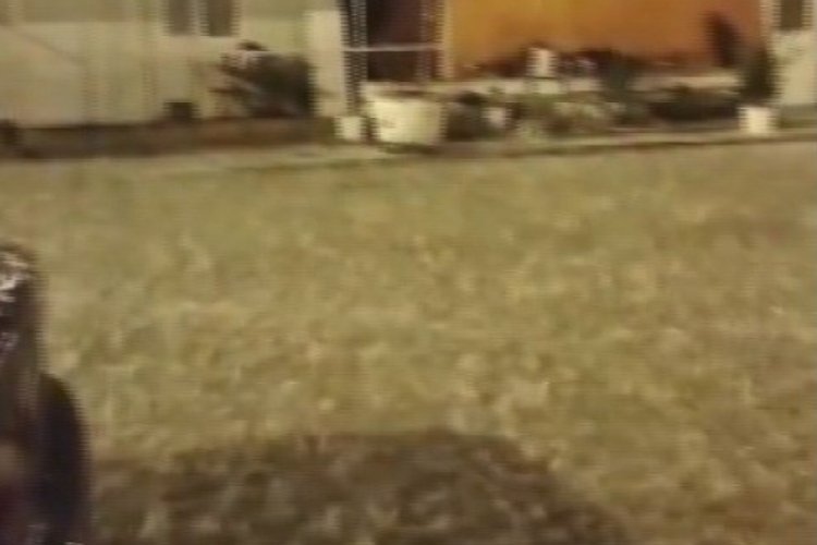 Hatay'da dolu yağışı &ccedil;evreyi beyaza b&uuml;r&uuml;d&uuml;
