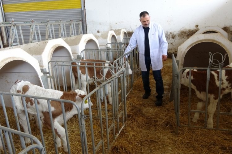 B&uuml;y&uuml;kbaş hayvan &ccedil;iftliğinin elektrik giderlerini GES ile karşılıyor