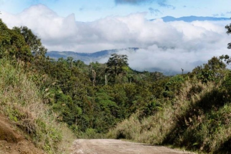Papua Yeni Gine'de kabileler arasında &ccedil;atışma &ccedil;ıktı! 26 kişi &ouml;ld&uuml;