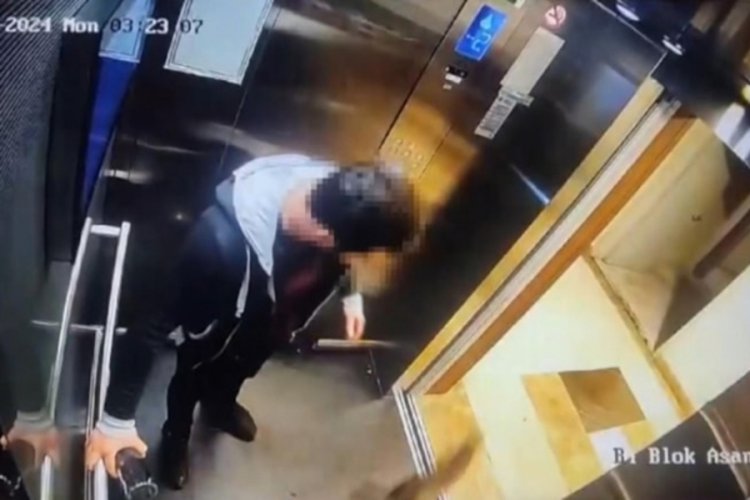 Kediyi vahşice &ouml;ld&uuml;rm&uuml;şt&uuml;, tahliye gerek&ccedil;esi belli oldu!