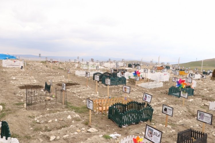 Ankara'da bir şirket tarafından evcil hayvan mezarlığı hakkında CİMER'e şikayet