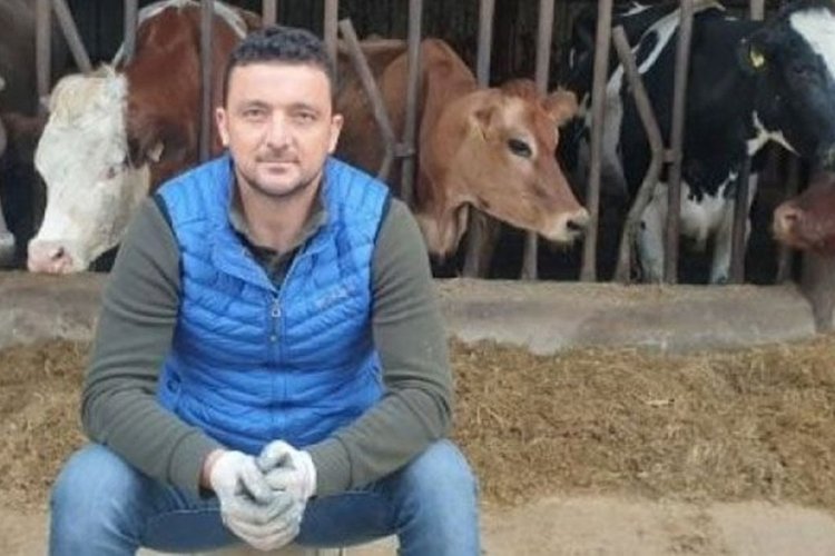 Kocaeli'de sokak k&ouml;peğini &ouml;ld&uuml;r&uuml;p sosyal medyada paylaşan sanığa ceza verilmedi