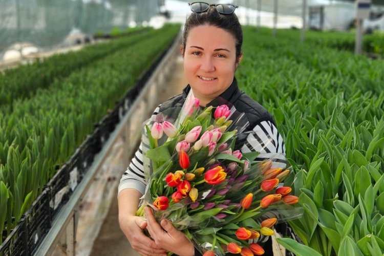 Antalya'da 8 Mart D&uuml;nya Kadınlar G&uuml;n&uuml; i&ccedil;in suda 200 bin lale &uuml;retildi