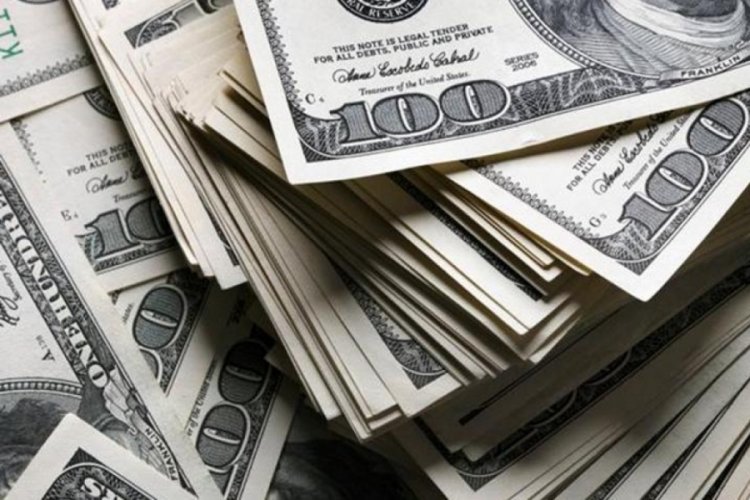 Dolar 31 lira oldu!