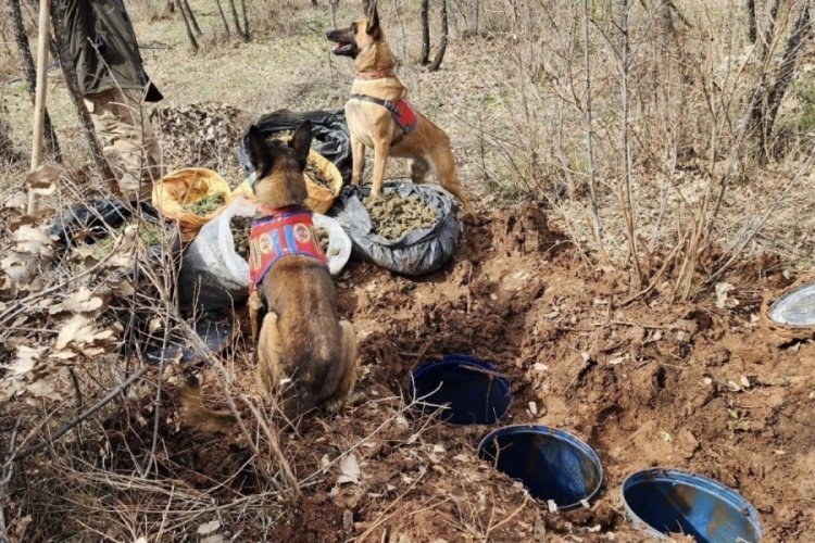 Diyarbakır'da jelikan bidon i&ccedil;erisine saklanmış 43 kilo esrar ele ge&ccedil;irildi