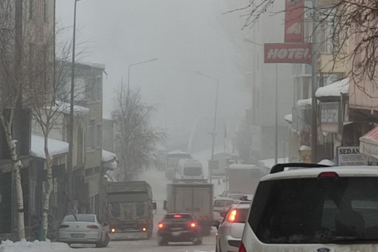 Ardahan'da soğuk hava ve sis etkili oldu
