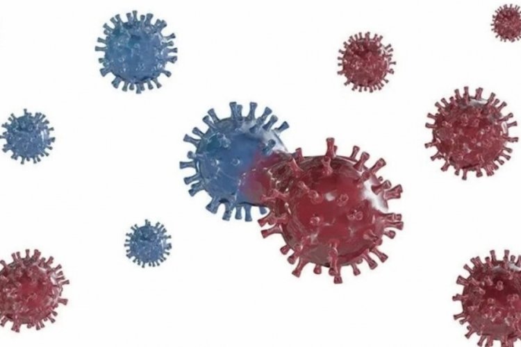 HIV virüsü belirtileri neler, nasıl bulaşır? HIV Enfeksiyonu (AIDS) bulaşma yolları