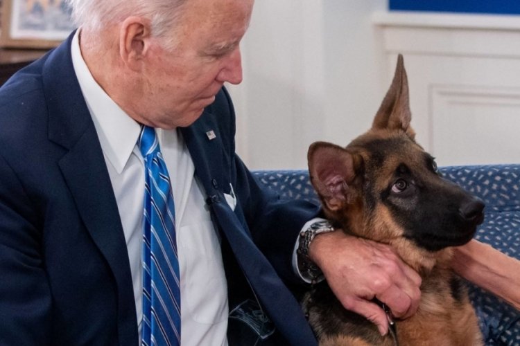Biden'ın saldırganlığıyla bilinen k&ouml;peğinin en az 24 Gizli Servis personelini ısırdığı ortaya &ccedil;ıktı