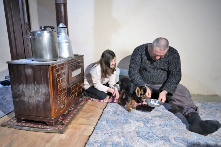 Muş'ta 3 ayaklı oğlak doğdu