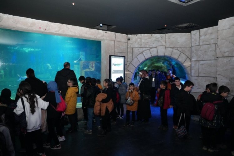 G&ouml;lbaşı Belediyesi &ouml;ğrencileri akvaryuma g&ouml;t&uuml;rd&uuml;