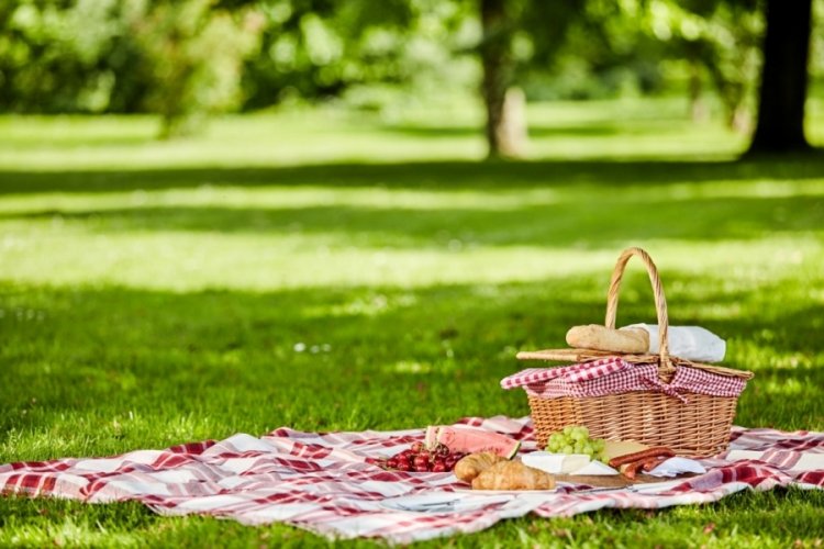 R&uuml;yada piknik yapmak ne anlama gelir? R&uuml;yada piknik sepeti g&ouml;rmek ne anlama gelir? R&uuml;yada ormanda piknik yapmak ne anlama gelir? R&uuml;yada yeşillik g&ouml;rmek ne anlama gelir?