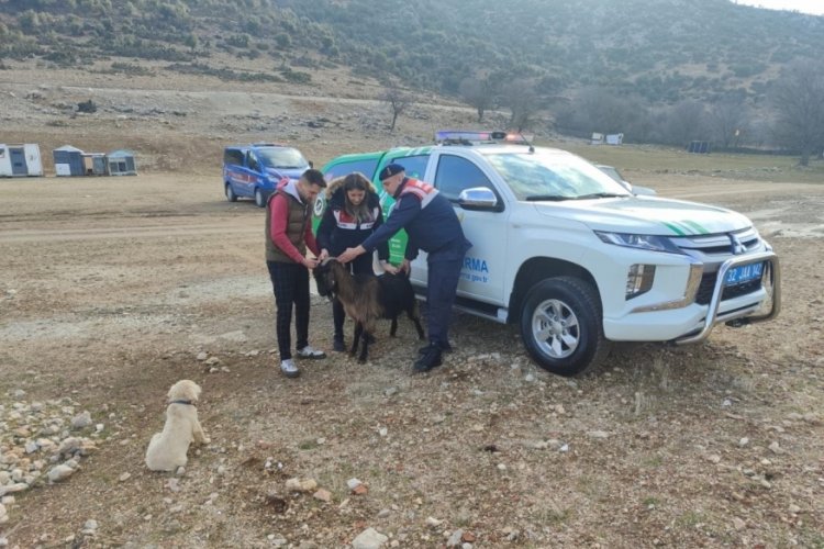 Isparta'da su kanalında mahsur kalan ke&ccedil;i kurtarıldı