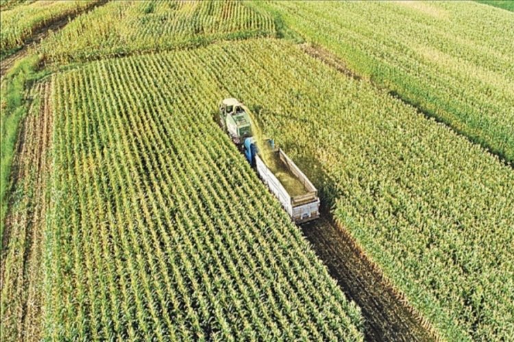Tarım Arazilerinin Kullanımının Etkinleştirilmesi Projelerine bu yıl 520 milyon lira &ouml;denek ayrıldı