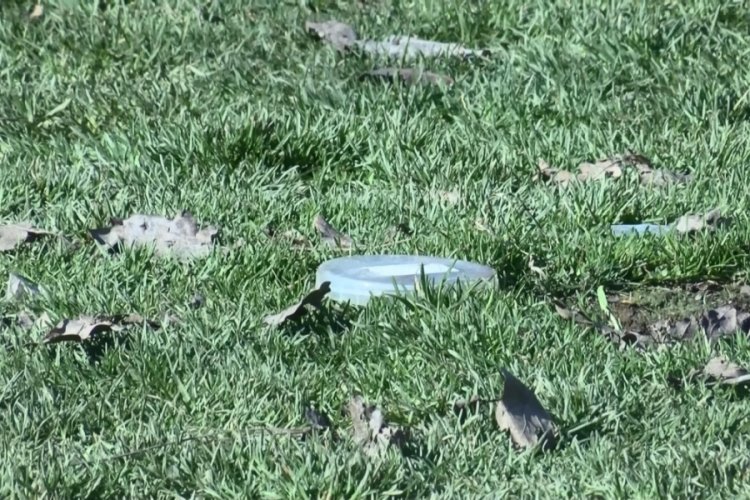İstanbul'da parkta bulunan cenin ekiplerini harekete ge&ccedil;irdi