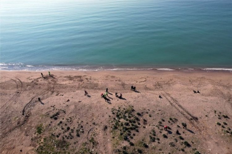 Mersin'de carettaların yumurtlama alanları temizlendi