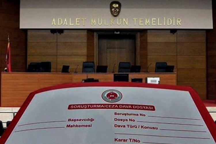 Aydın'da 5 yıldızlı otelde kedi katliamı!
