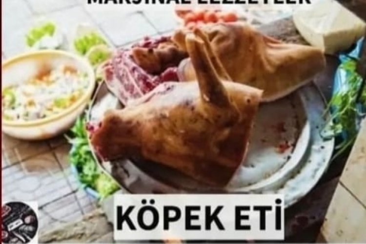 Bursa'da k&ouml;pek eti satışı iddiasında ger&ccedil;ek ortaya &ccedil;ıktı!