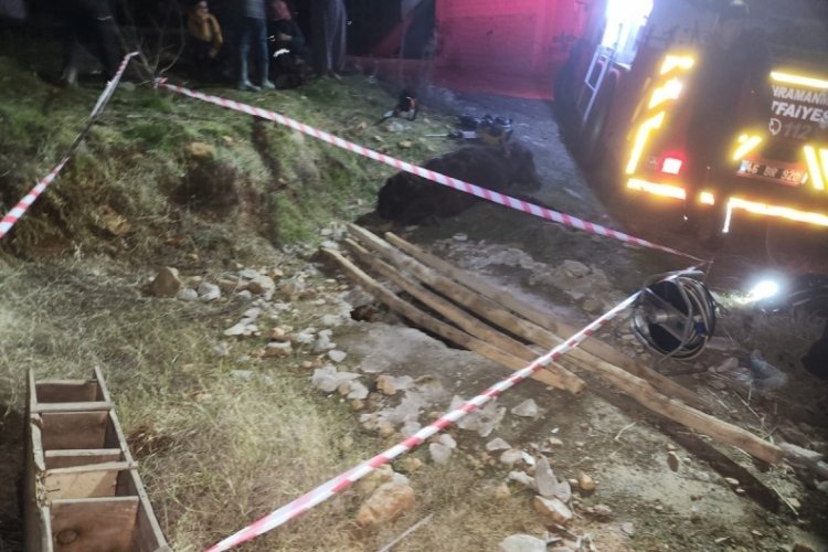 Foseptik kuyusuna d&uuml;şen eşeği itfaiye kurtardı