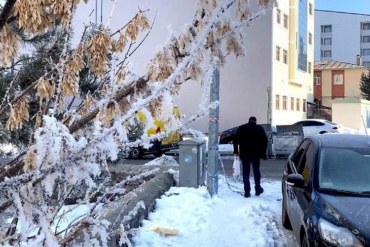 T&uuml;rkiye'nin en soğuk yeri eksi 30,5 derece